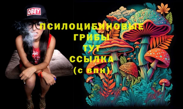 МДМА Горнозаводск