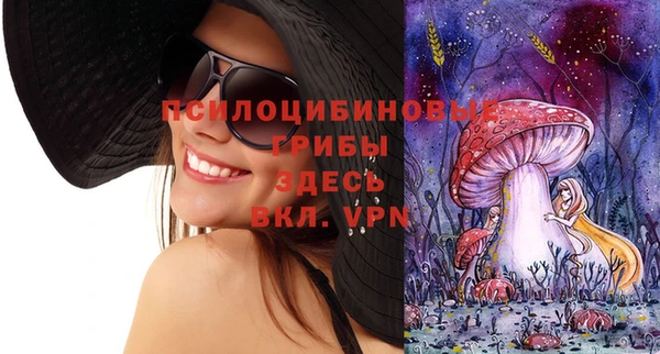 соль курить ск Горняк