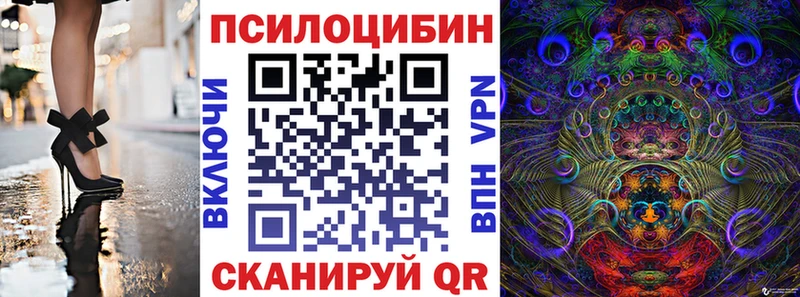 Псилоцибиновые грибы Cubensis  Купить  Николаевск-на-Амуре 